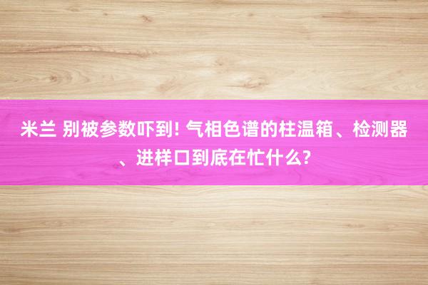 米兰 别被参数吓到! 气相色谱的柱温箱、检测器、进样口到底在忙什么?
