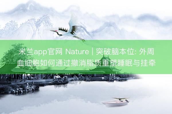 米兰app官网 Nature | 突破脑本位: 外周血细胞如何通过撤消脂质重塑睡眠与挂牵
