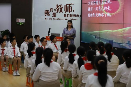 北京市中小学校园阅读成果发布会在回龙观中心小学召开